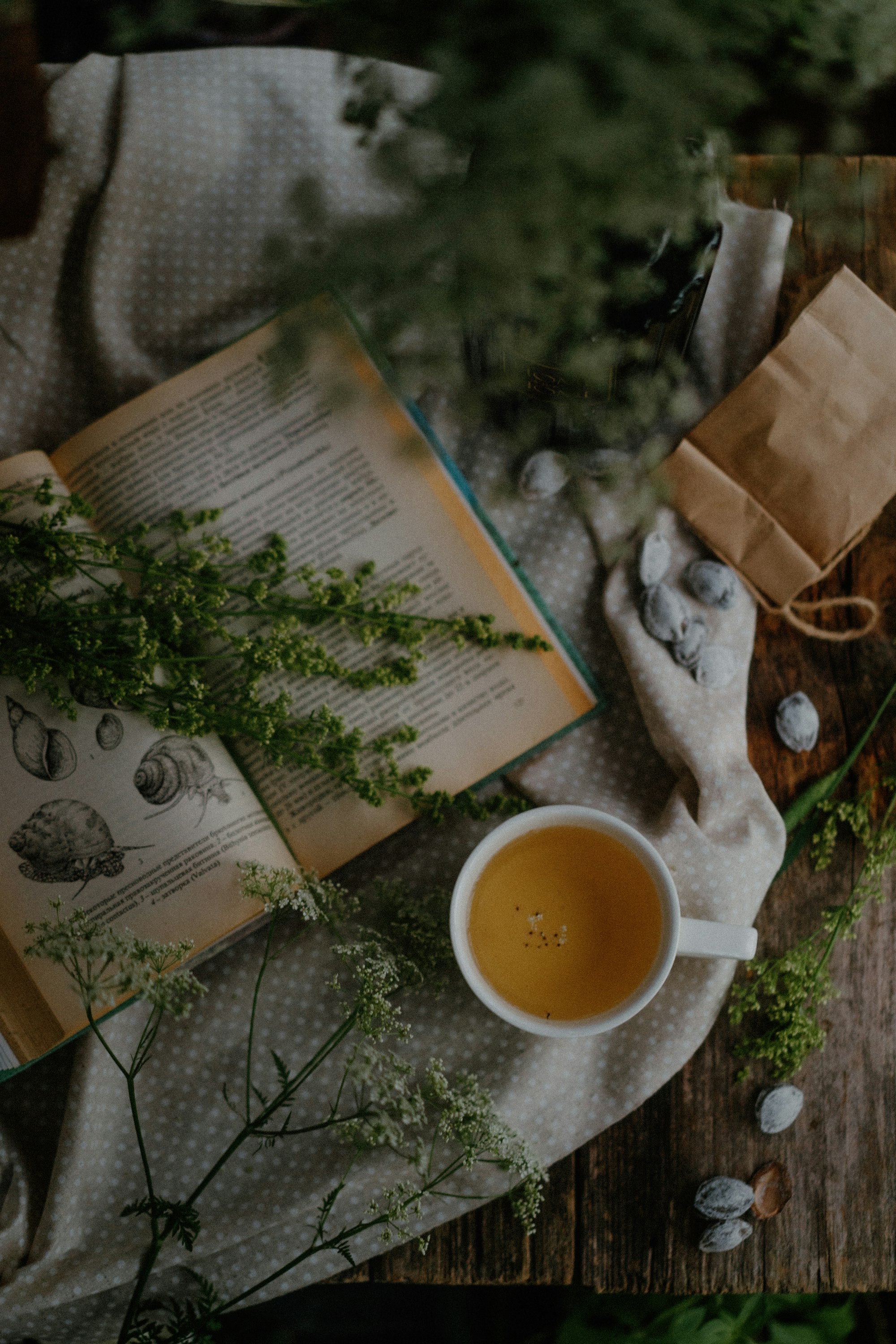 A cup of tea and an open book on a table in warm summer evening light